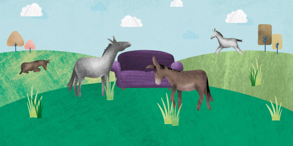 Sanctuary From Your Sofa: Marvellous Mules