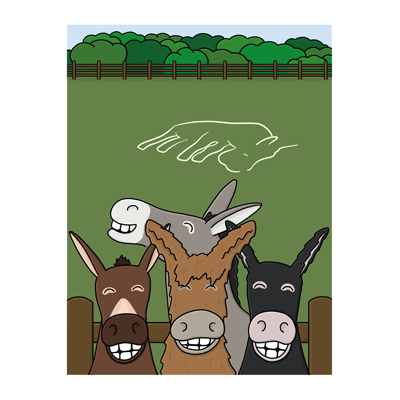 Donkey Paddocks Card