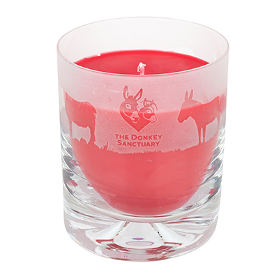 Glass Tumbler Candle - apple