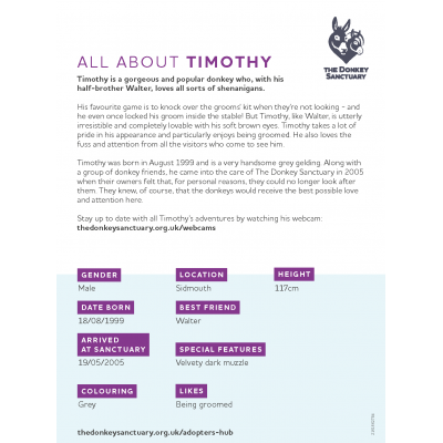 Timothy Portrait - back sheet