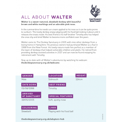 Walter Portrait - back sheet