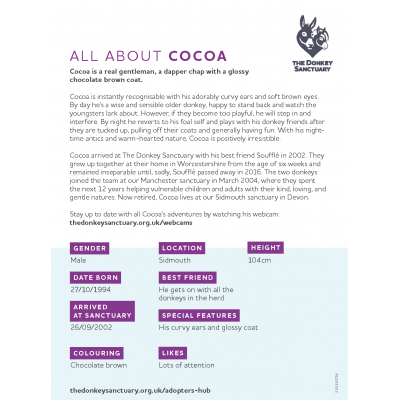 Cocoa Portrait - back sheet