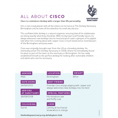 Cisco Portrait - back sheet