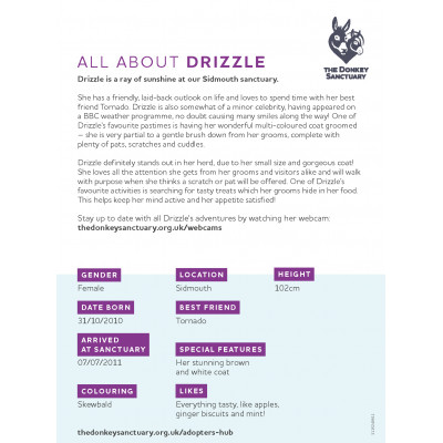 Drizzle - back sheet