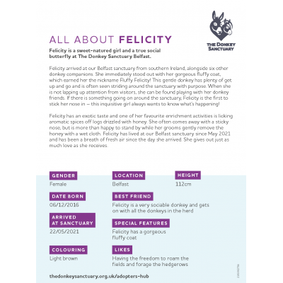 Felicity - back sheet