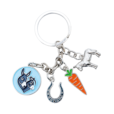 D22031 Donkey Sanctuary Charm Keyring