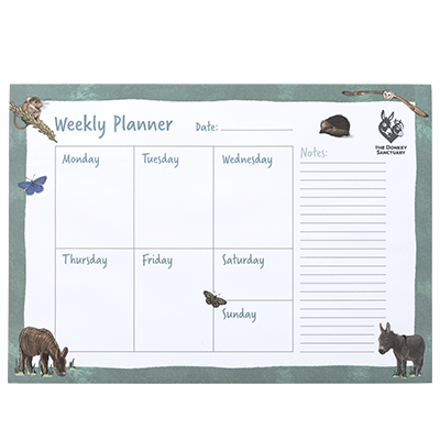 D22093 Percy & Friends Weekly Desk Planner