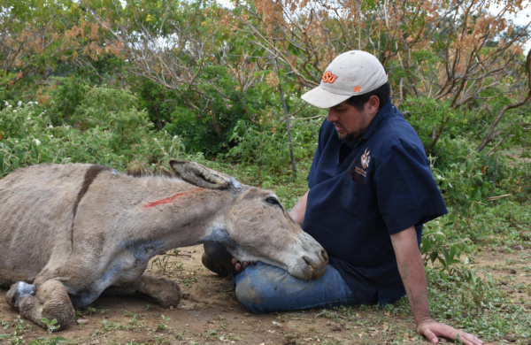 Cavalheiro resting his head on Eduardo