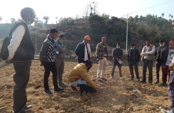 Outdoor azolla cultivation training (Credit: Sanjeevani)