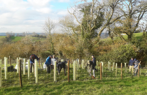 Ecology and Conservation planting trees at Woods Farm