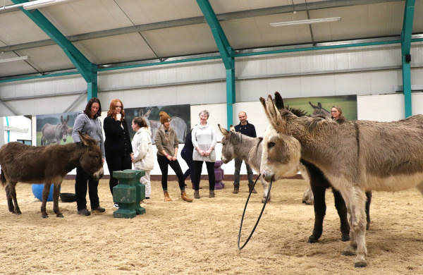 Members from the Mind charity group during the Donkey Facilitated Learning session.