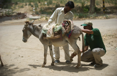 Gurgaon building site, India