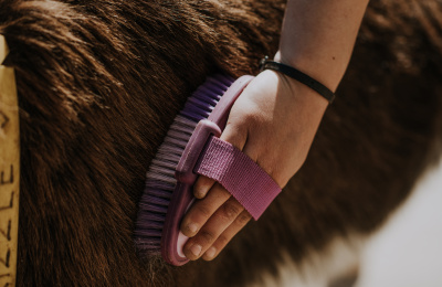 Donkey grooming brush