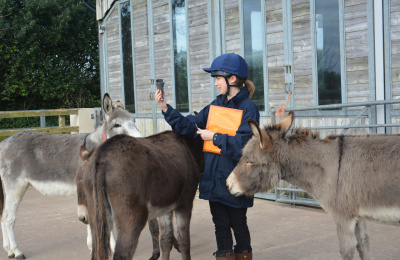 Research being carried out