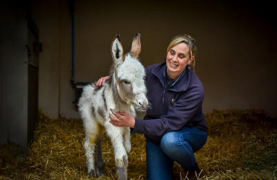 Millie's newborn foal