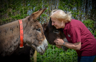 Volunteer with donkey