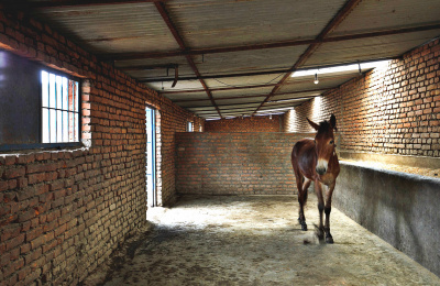 Shelter at a brick kiln in Nepal