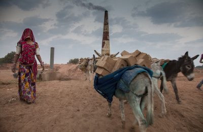 Donkeys walking to India brick kiln