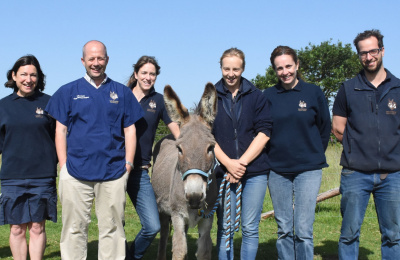 Rocky with his veterinary team