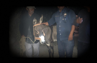 Jailed Oaxaca donkey with owner and rescuers