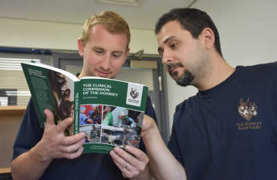 Vets reading Clinical Companion