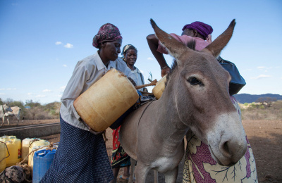 Women load water panniers onto donkey's back