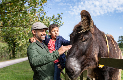 Visitors with donkey looking over fence