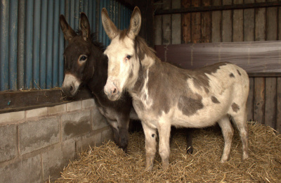 Mary and Della