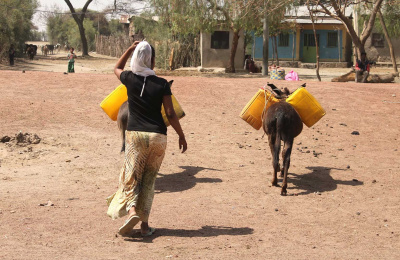 Ethiopia, woman and donkeys collecting water