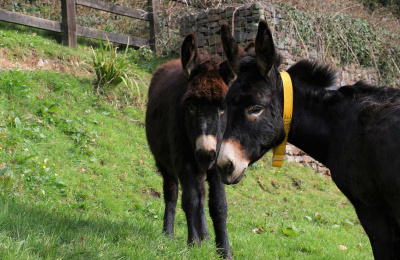 Timmy and Abbie standing side by side