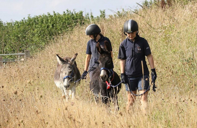 Donkeys are playing a key role in an innovative conservation scheme encouraging the growth of wildflowers