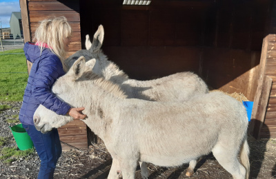 Santa and Noel with their donkey Guardian, Kathryn