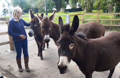 Sooty, Alfie and Galaxy with their Guardian.