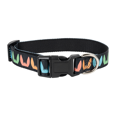 Donkey Ears Dog Collar