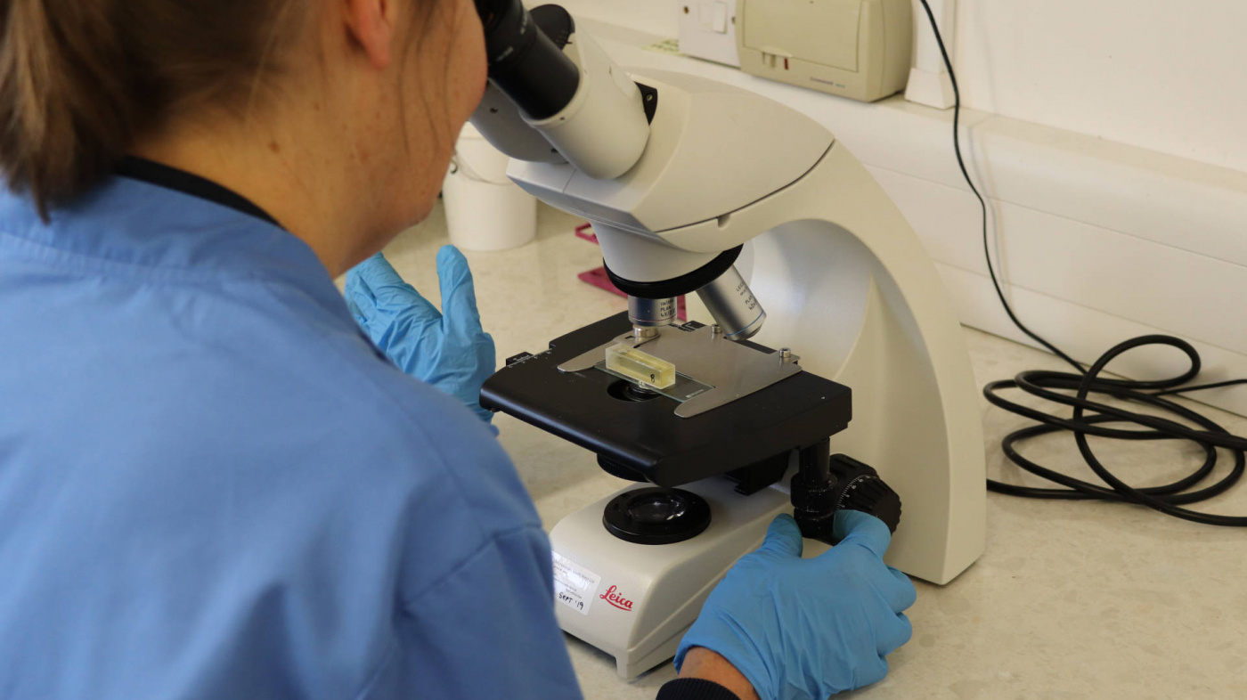 Lab technician carrying out a faecal egg count