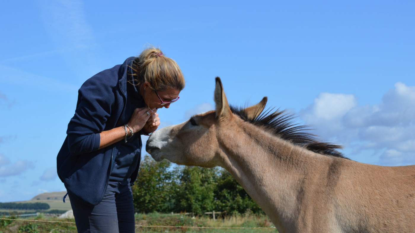 Dotty with Derbyshire farm supervisor