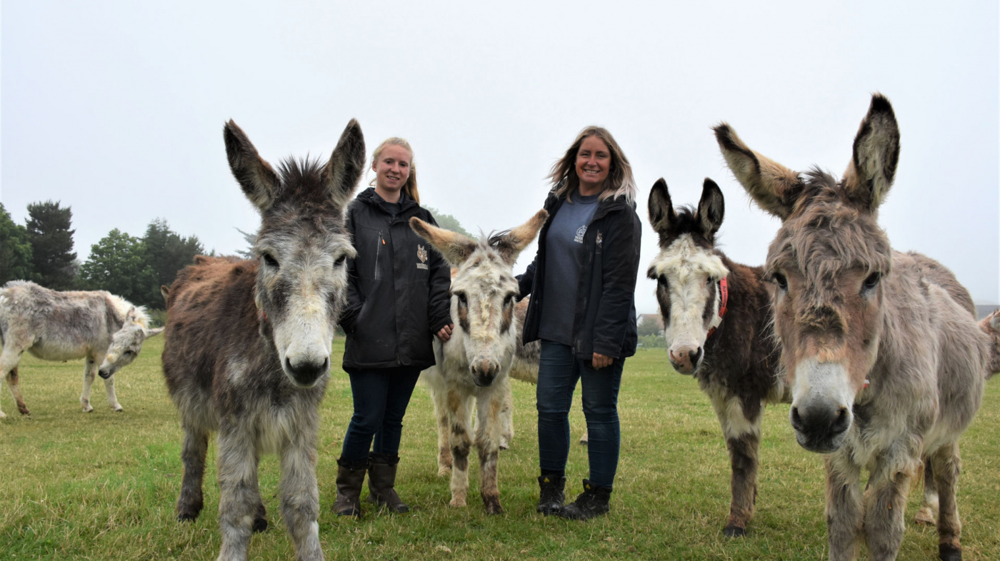 Grooms Kerry and Bianca with Patch and friends