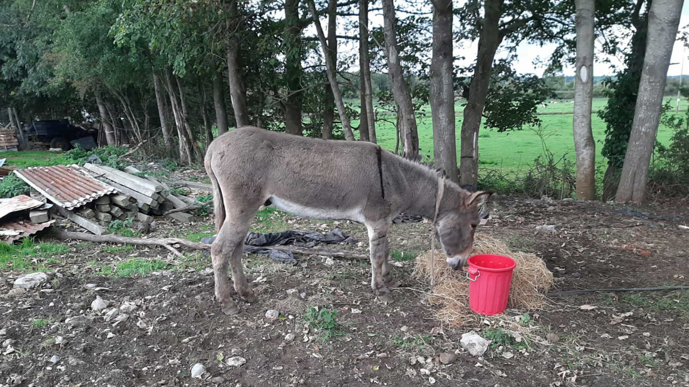 Seanie with food and water at the rescue site