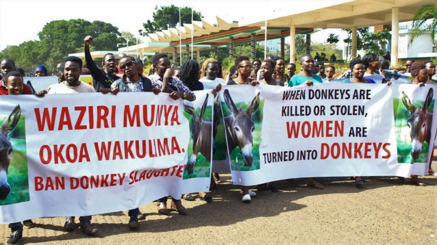 Donkey owners marching with banner (Copyright: Brooke)