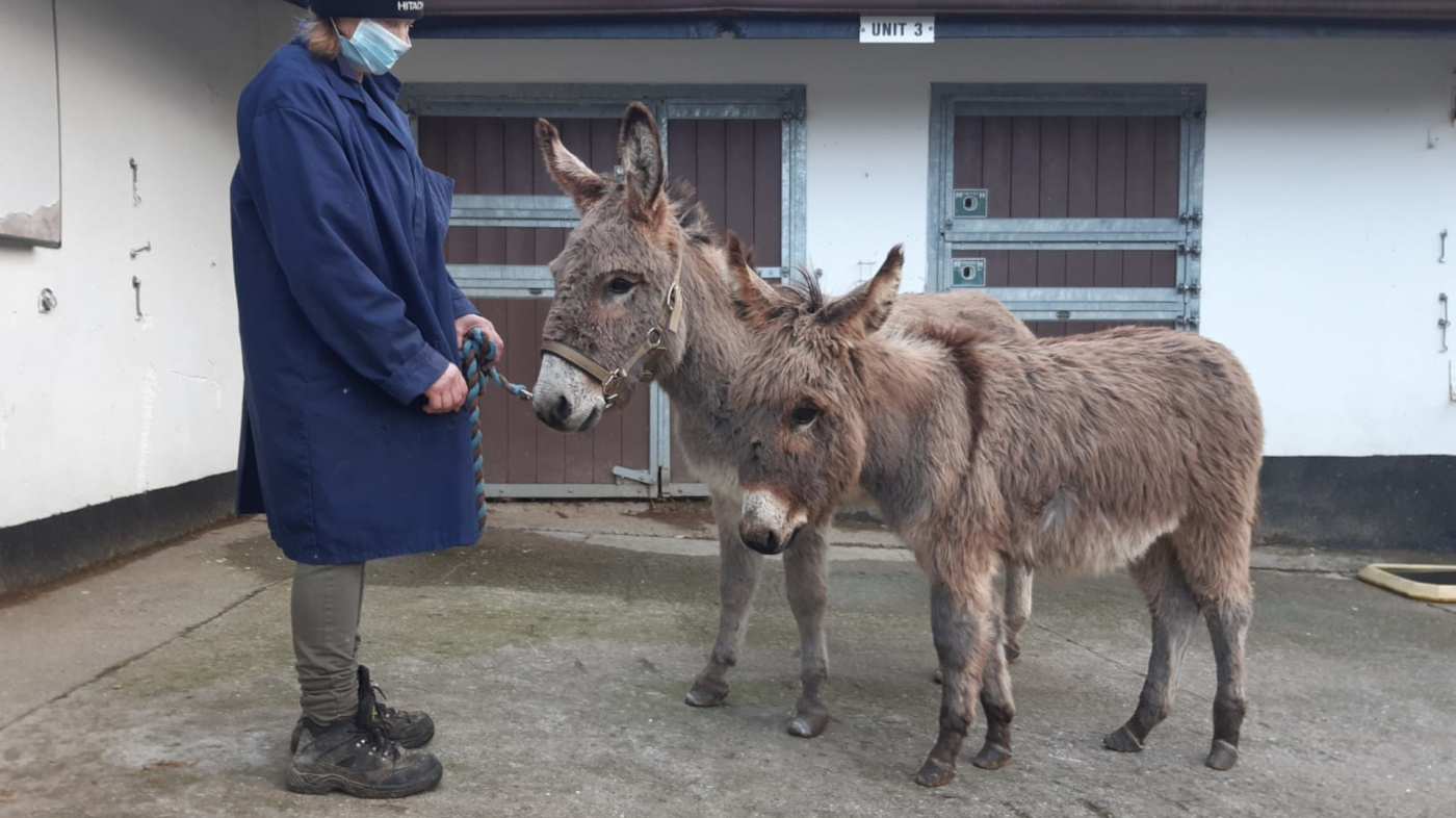 Patricia and Lilybee after receiving treatment