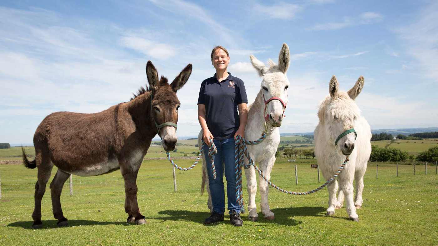 Gilly, Holly and Snowy six months on with Sally Bamforth