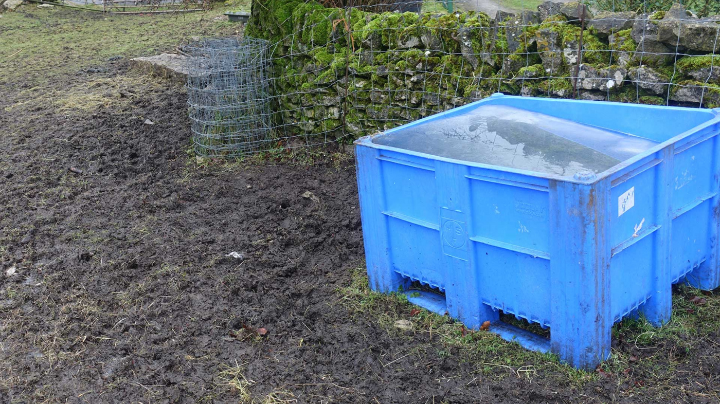 Flossy and Jubilee rescue, one of the frozen water troughs