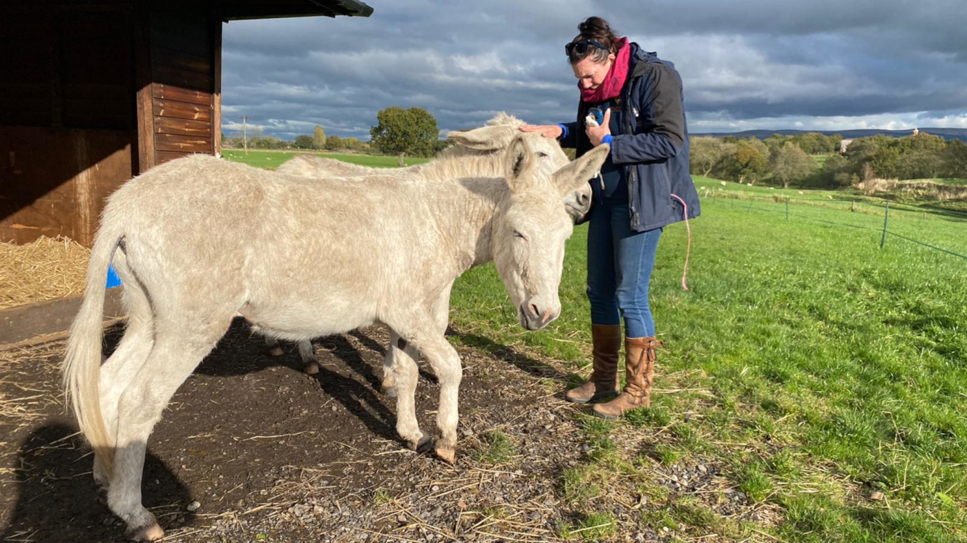 Santa and Noel with donkey welfare adviser Keira