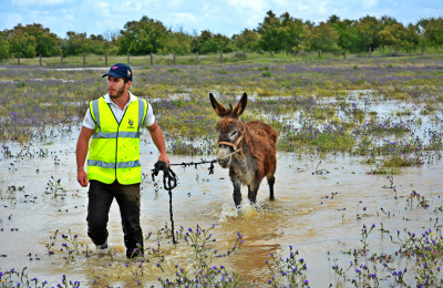 El Rocio rescue