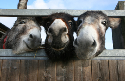 Zena with her friends Ashley and Mr Khan